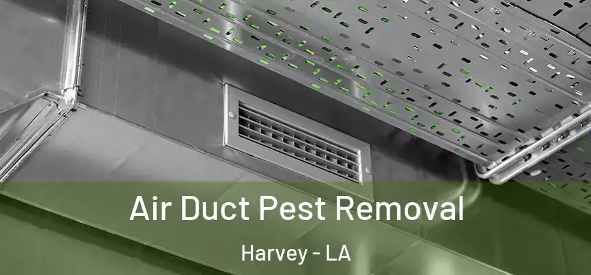  Air Duct Pest Removal Harvey - LA
