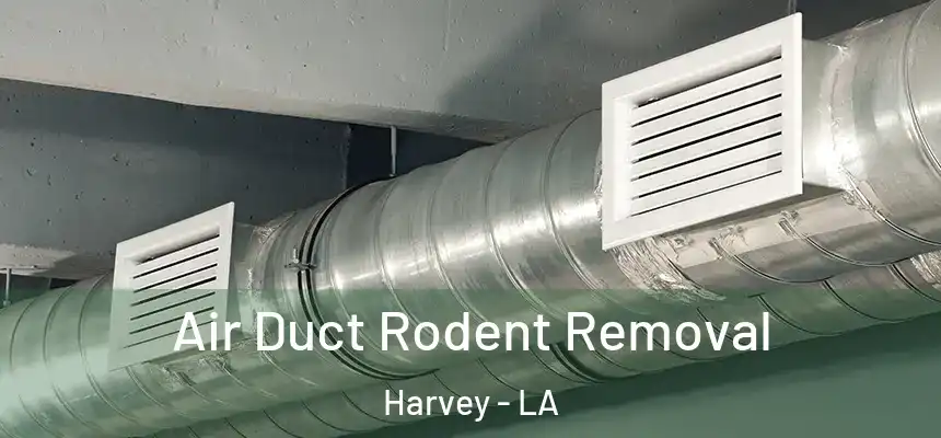 Air Duct Rodent Removal Harvey - LA