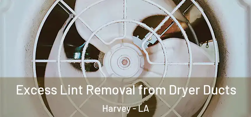 Excess Lint Removal from Dryer Ducts Harvey - LA