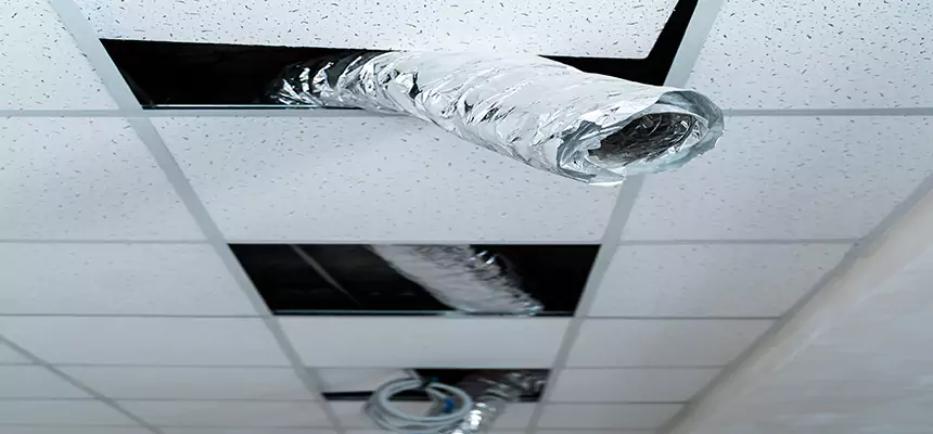 Affordable HVAC Sanitizing After Pest Removal in Harvey