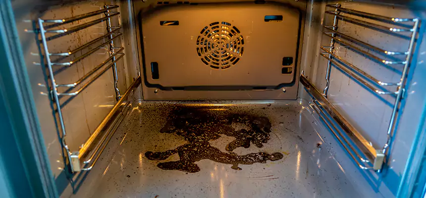 Our Dryer Vent Mold Cleaning Services in Harvey, LA