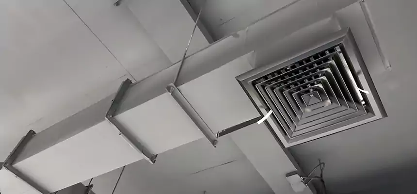 Our Rodent Droppings In Vents Services in Harvey, LA