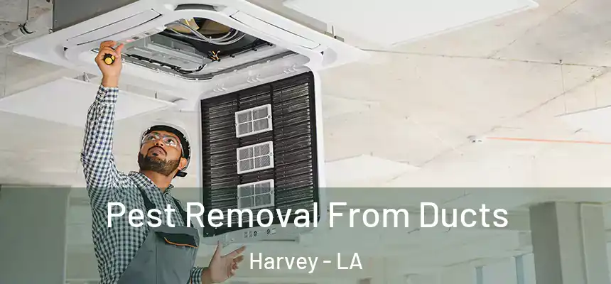 Pest Removal From Ducts Harvey - LA