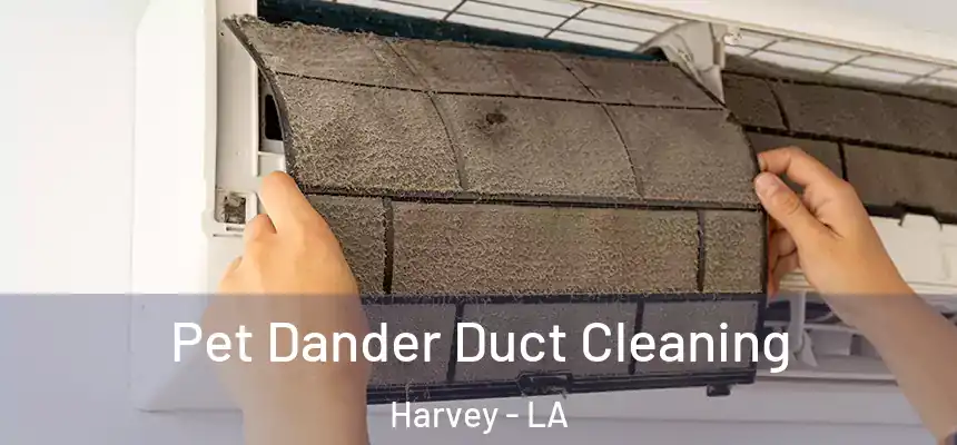 Pet Dander Duct Cleaning Harvey - LA