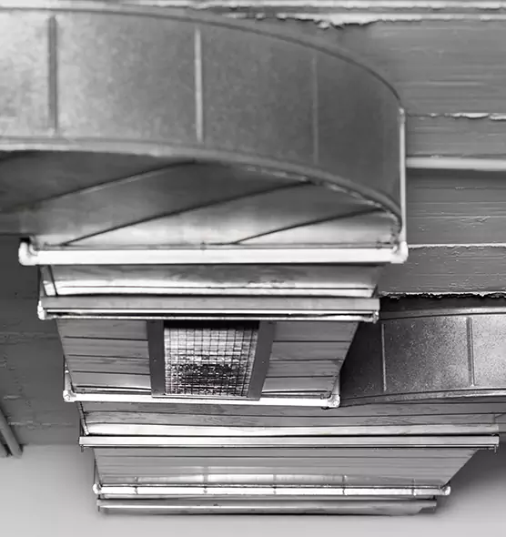 Professional Air Duct Pest Removal in Harvey, LA