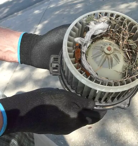 About Air Duct Rat Removal in Harvey, LA