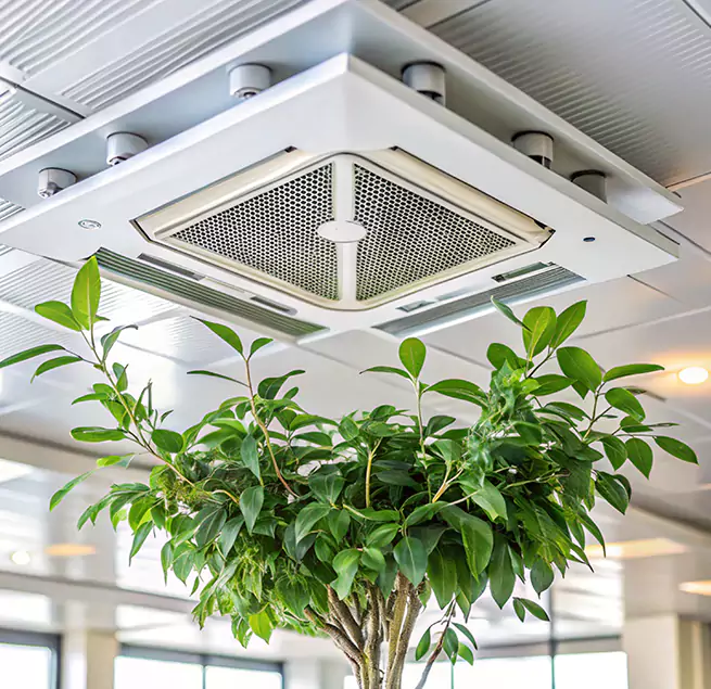 Why Homeowners & Businesses Trust Us in Harvey, LA?